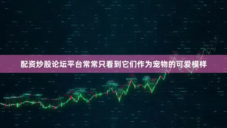 配资炒股论坛平台常常只看到它们作为宠物的可爱模样