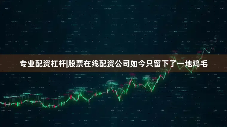 专业配资杠杆|股票在线配资公司如今只留下了一地鸡毛