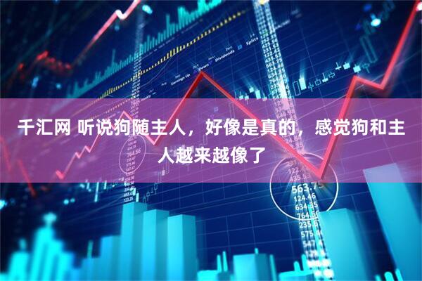 千汇网 听说狗随主人，好像是真的，感觉狗和主人越来越像了