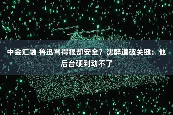 中金汇融 鲁迅骂得狠却安全？沈醉道破关键：他后台硬到动不了